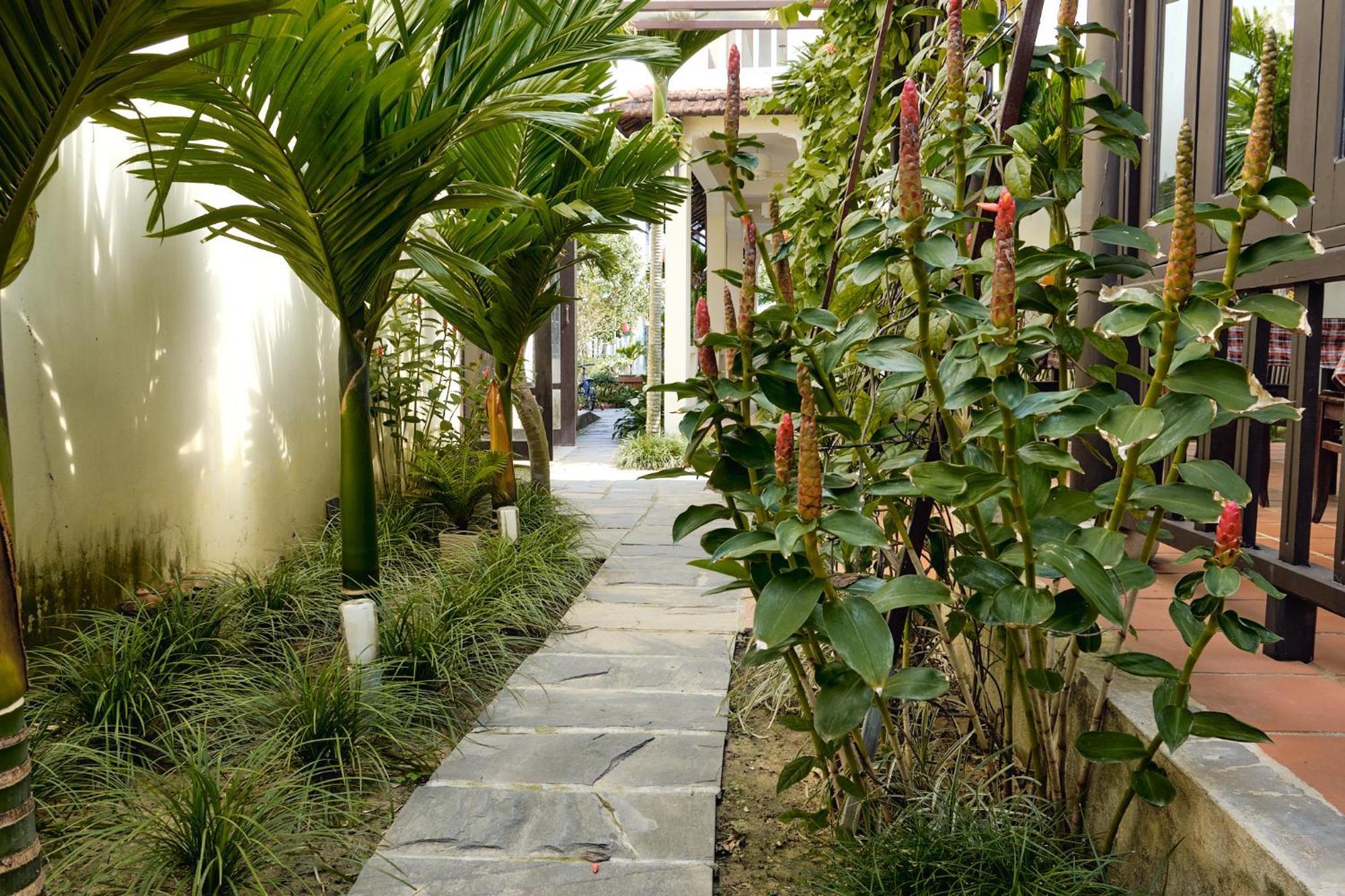 Hoi An Holiday Villa מראה חיצוני תמונה